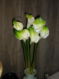 Touch Silk Flower White Green Calla Lilys Large Sgllong Stem
