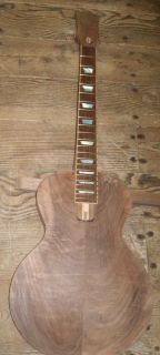 Lowel Les Paul Luthier Project