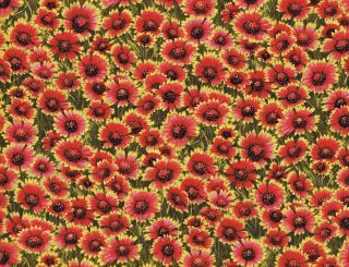 Quilt Quilting Fabric Firewheel Flower Floral Red Green Cotton New BTY