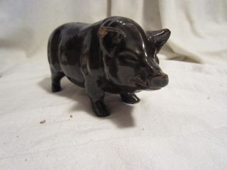 Old Stoneware Pig Monmouth Red Wing Macomb Whitehall