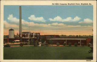 Mayfield KY Pet Milk Co Plant Old Postcard