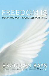 Your Boundless Potential by Brandon Bays 2007, Paperback
