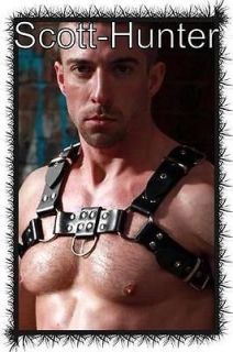 Leather Chest Harness (BULLDOG STYLE) Retailed Price £120.00