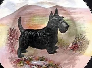 Vintage Royal Doulton Porcelain BLACK SCOTTIE SCOTTY Scottish Terrier