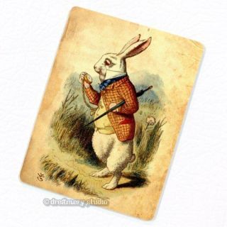 Alice in Wonderland Deco Magnet; White Rabbit in Hurry Color, Kitchen