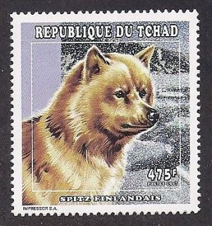 Rare Dog Art Head Study Portrait Postage Stamp FINNISH SPITZ Chad