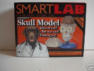 SmartLab Snap  Together Skull Model     New