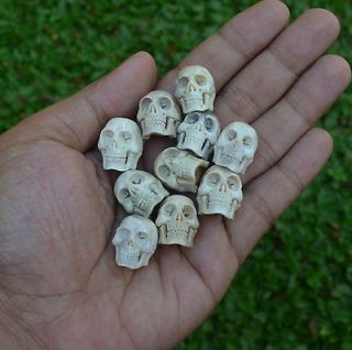 10pcs Assorted Size 19 20mm in Height SK107 in Deer Shed Antler
