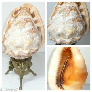 CARVED CAMEO CONCH SHELL APOLLO IN CHARIOT 4 HORSES LAMP & BASE
