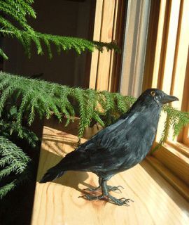 BLACK CROW REALISTIC BIRD HALLOWEEN PROP FURRY ANIMAL ck145 FREE