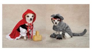 Little Red Riding Hood & Big Bad Wolf Costumes for Dogs   Dog Costume