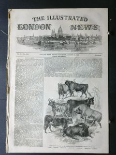 1843 ILLUSTRAT ED LONDON NEWS  war in spain,zurbano guerilla cavalry