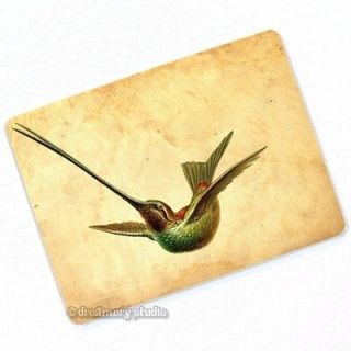Sword Billed Hummingbird Deco Magnet; Beautiful Garden Birds Humming