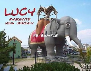 NJ, Margate   LUCY THE ELEPHANT   Fridge Magnet