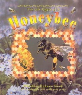 live honey bees
