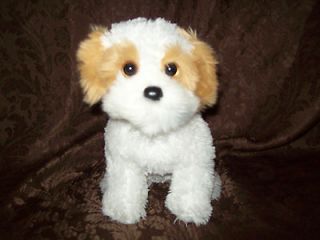 2009 Ty White Brown Shih Tzu Puppy Dog Plush Soft Toy Stuffed Animal