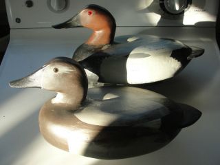 Canvasback working hand carved wood duck decoys,Evans set,glass eyed