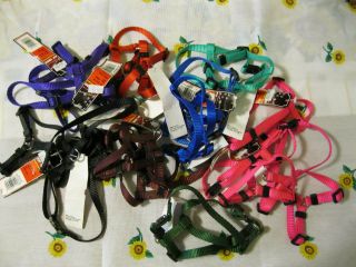 extra small dog harness in Harnesses