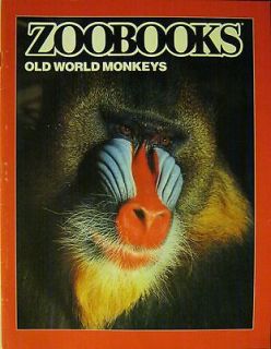 ZOOBOOKS Oct 1990 OLD WORLD MONKEYS   Primates