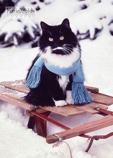 TUXEDO CAT KITTY w blue Scarf on vintage SLED in the snow color
