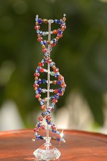 MOLECULAR MODEL YOUR DNA IS SO UNIQUEBIRTHDAY GIFT 8 or 20 cm