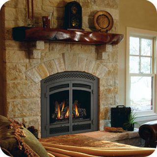 Napoleon Gas Fireplace Starfire GD70 Direct Vent arched log set NG LP