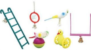 BIRDIE BEAKS TRADITIONAL TOYS FOR YOUR CAGED BIRD   BUDGIE MIRROR