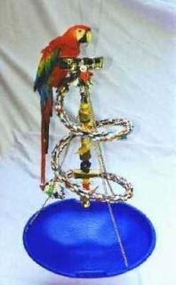PARROT MEDIUM HANGING PLAY GYM w/Tray Toy Cup