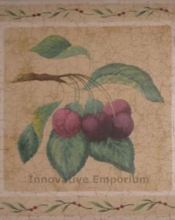 Fruit Wall Border Paper Country Kitchen Grape Berry NEW
