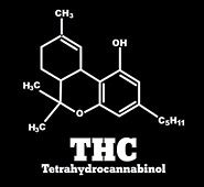 THC funny weed marijuana high bud leaf blunt stoner cannabis T Shirt