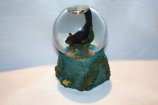 WATER GLOBE…”Wyland Sea Lion Design”…Mini S ized…Brand New