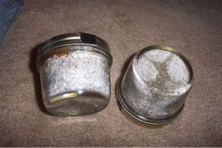 Brown Rice Flour&Vermicul ite Mushroom Substrate 3 jars