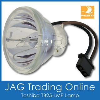 TB25 LMP / D95 LMP DLP TV LAMP/RPTV BULB   PHOENIX SHP66 SHP75 SHP87