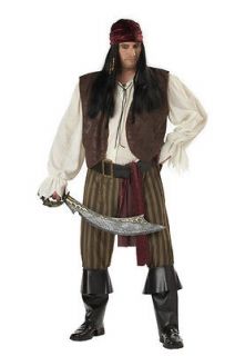 Brand New Plus Size Rogue Pirate Buccaneer Halloween Costume