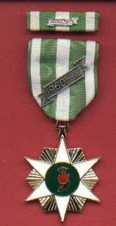 Vietnam Campaign RVN Military Award medal with ribbon bar and 60