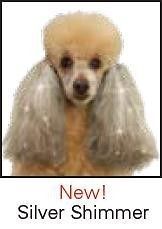 Top Performance PET DOG CAT GROOMING HAIR DYE COLORING GEL Coat Fur