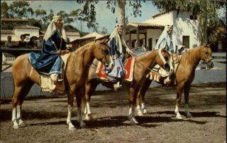 Catalina Island CA Arabian Horses Costumes Postcard