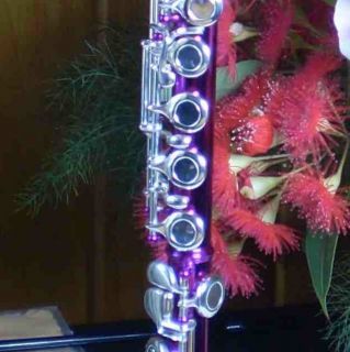 Pretty Pink and Silver Flute Package   Brand New with Bonuses