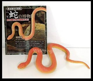 Snake Museum RUBBER BOA SNAKE Boidae Figure Toy