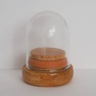 x3 Clear Glass Dome Cloche Wooden AirTight Base
