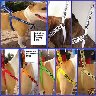 leather & chain english bull terrier labrador pointer harness ( sign