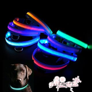 Size&8Color LED Flashing Lighting Safety Pet Dog Nylon Flat Collar