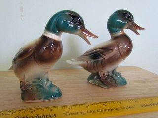 Vintage Royal Copley Windsor Spaulding Pottery Mallard Duck Duckling