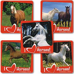Stickers Equestrian Farm Western Party Goody Loot Bag Favor Supply