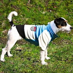 FULL COVER FLEECE VERY WARM Chihuahua/Dach shund/westie/p ug/Yorkie