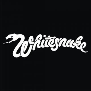 Whitesnake (shirt,hoodie,sweatshirt,babydoll)