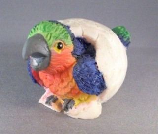 Realistic BABY PARROT #2 Hatching from EGG ~ Detailed