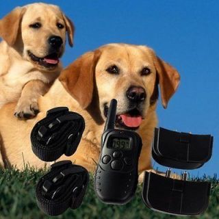 dog collar in Training Leads & Leashes