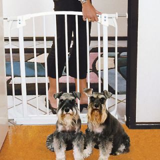 dog gates indoor