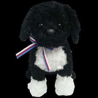 TY BO the PORTUGUESE WATER DOG   2.O BEANIE BABY   MINT
